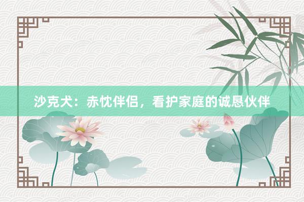 沙克犬：赤忱伴侣，看护家庭的诚恳伙伴
