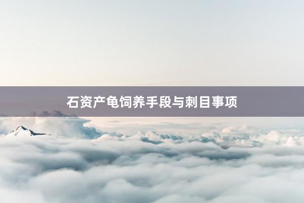 石资产龟饲养手段与刺目事项