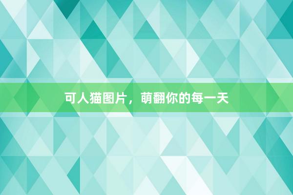 可人猫图片,萌翻你的每一天