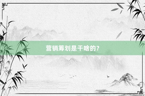 营销筹划是干啥的？